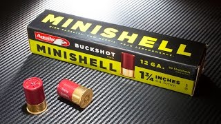 Aguila Minishell Buckshot Load detailed overview [upl. by Namie]