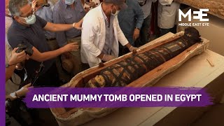 Ancient mummy coffin sealed 2500 years ago opened in Egypt [upl. by Wilsey]