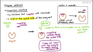 37 Competitive Enzyme Inhibitors Cambridge AS A Level Biology 9700 [upl. by Hoye]