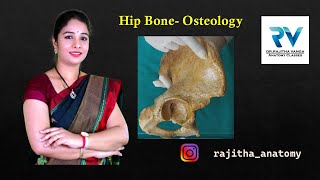 Osteology of Hip Bone by Dr Rajitha Vanga [upl. by Kitrak54]