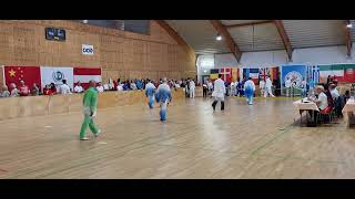 6th European Health Qigong Games 6EHQG [upl. by Collen335]