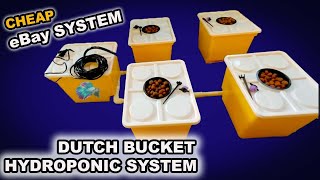 EBAY DUTCH BUCKET HYDROPONICS SETUP IS IT ANY GOOD [upl. by Serena]