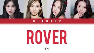 ROVER KAI  YOUR KPOP GROUP  FOUR MEMBERS BLXNKBP [upl. by Zaragoza]