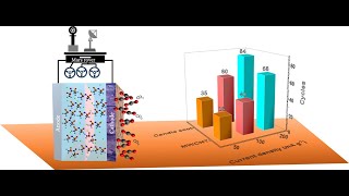 Unlocking Mars’ Energy Future Candle Soot Nanoparticles vs MWCNT for Efficient LiCO2Mars Battery [upl. by Wendalyn839]