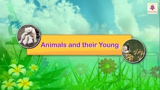 Animals And Their Young Ones  Science For Kids  Grade 4  Periwinkle [upl. by Annoyt]