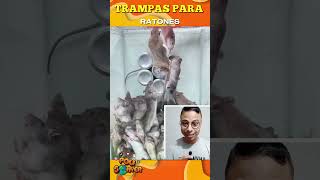 TRAMPAS PARA RATONES [upl. by Laefar]