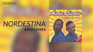 Asas Livres  Nordestina Voando Até Você Áudio Oficial [upl. by Lotti]