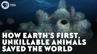 How Earths First Unkillable Animals Saved the World [upl. by Minetta]