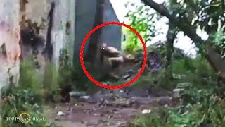 5 Videos de TERROR REAL que Desafían Toda Lógica Fantasmas y Criaturas Captados en Cámara  Parte 2 [upl. by Eehsar895]