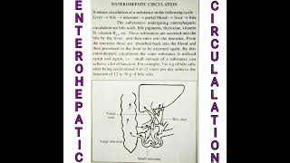 Enterohepatic circulation liver [upl. by Drofub]