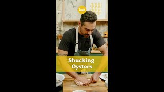 Oyster Shucking 101 with Chef Alex [upl. by Siblee74]