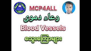 Human Organs  Body Parts name in Arabic to English and Burmese [upl. by Morgana]