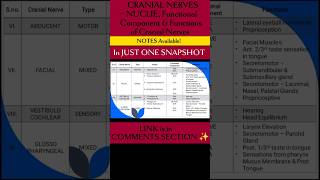 NUCLIE FUNCTIONAL COMPONENTS amp FUNCTIONS l CRANIAL NERVES brainanatomy physiotherapyeducation [upl. by Aloap]