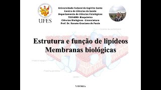 Estrutura e função de lipídeos e membranas [upl. by Ardenia]