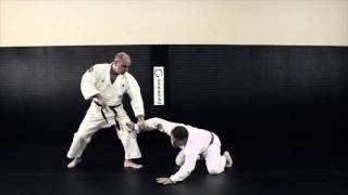 Nihon Goshin Aikido  Aikido Academy of Self Defense  Tarpon Springs [upl. by Ratha757]