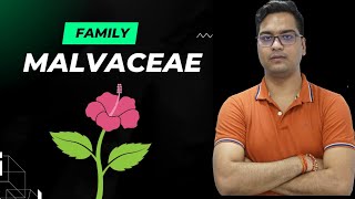 Malvaceae family [upl. by Enelegna]