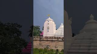 na to Kaliya chaka dhuliya Jay Jagannath [upl. by Leiram]