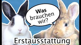 🐰 Kaninchen ERSTAUSSTATTUNG 💖Was braucht man für den Start 🐾 Wohnungshaltung [upl. by Attenwad]