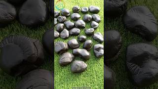 different type of shaligram  shaligram shila  gandaki river nepal shorts short shortsfeed [upl. by Noelani]