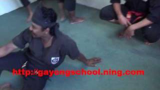 Silat Seni Gayong Malaysia  Secret of art part 9wmv [upl. by Mastat]