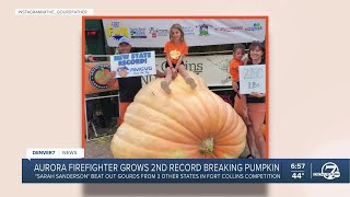 Aurora firefighter grows recordbreaking pumpkin  again [upl. by Ahseiym36]