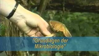 Grundlagen der Mikrobiologie [upl. by Haidabez]