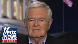 Newt Gingrich Dems are dangerously close to causing this disaster [upl. by Raynah23]