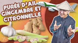 LA PURÉE DAIL GINGEMBRE ET CITRONNELLE [upl. by Sherurd]