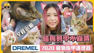 貓狗剪指甲不崩潰 全程治癒【地盤佬開箱】Dremel 7020 寵物指甲護理器 [upl. by Jayme345]