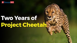 Two Years of Project Cheetah  Kuno National Park  ForumIAS [upl. by Hussey45]