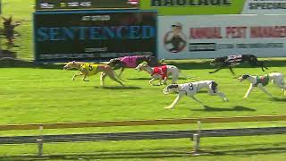 CapalabaSunday01092024Race9 [upl. by Yekcaj]