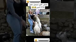 يقولون اقوى تسجيل دخول لا اااااالحين اكسبلور نكت لايك كشته [upl. by Arreic]