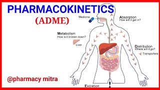 Pharmacokinetics  Pharmacokinetic of drugs  ADME  PHARMACOLOGY [upl. by Vullo]