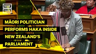 Māori Politician Performs Haka Defying Parliament Protocol [upl. by Morry]