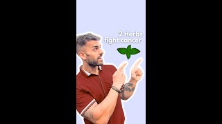 2 herbs fight cancer [upl. by Weywadt]