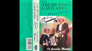 Los Tremendos Gavilanes Juan y Salomon 16 Corridos Norteños Album cassette completo [upl. by Eustis]