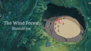 쏘피 𝗣𝗟𝗔𝗬𝗟𝗜𝗦𝗧  The Wind Forest My Neighbor Totoro · Joe Hisaishi [upl. by Ymled]