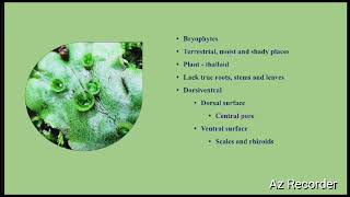 Structure of Marchantia  PVij ayakanth Assistant Professor  Department of Botany [upl. by Bail252]