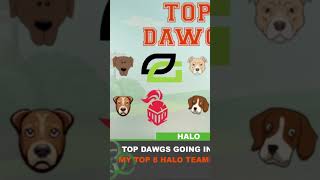 Will OpTic Halo get another second place opticgaming hcs [upl. by Dalston852]