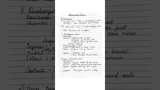 Intermuscular Spaces anatomy medicalnotes anatomynotes bhms [upl. by Yeldar]