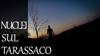 vlog9 Porto i nuclei sul tarassaco [upl. by Maccarthy376]