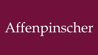 How to Pronounce Affenpinscher Correctly in German [upl. by Ytsrik]