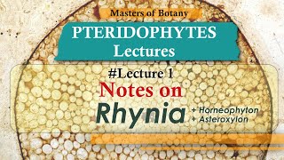 Lecture 1 Rhynia Horneophyton  Asteroxylon Life Cycle  Pteridophyta Lecture Notes [upl. by Vokay407]