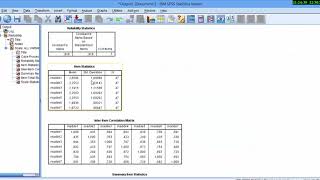 SPSS ile Cronbach alfa içtutarlılık katsayısının hesaplanması Cronbach alpha [upl. by Auohp149]