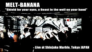 MELTBANANA  Shield for your eyes a Beast in the well on your hand Live [upl. by Simonetta]