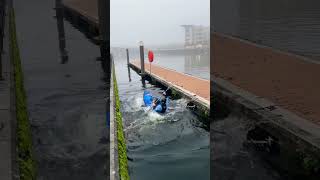 Kayaking didn’t go as planned [upl. by Tortosa]