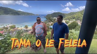 Aso mulimuli o le mafutaga ma le uso ia Seigafo Iosefa Siaosi mo Samoa Tutoatasi [upl. by Eltsyrk645]