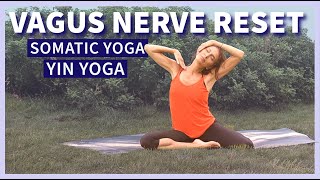 SOMATIC YOGA FOR VAGUS NERVE RESET with Yin Yoga to Remove Toxic Energies [upl. by Reinhold]