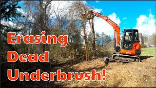 Forestry mulching ERASING DEAD UNDERBRUSH [upl. by Susanne]