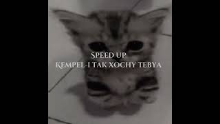 kempelя так хочу тебя speed up [upl. by Assirhc]